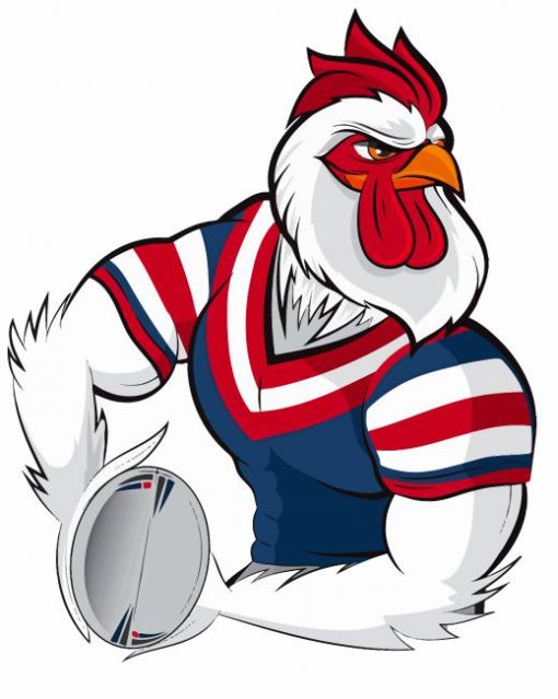 Sydney Roosters Art Sport Paint By Numbers