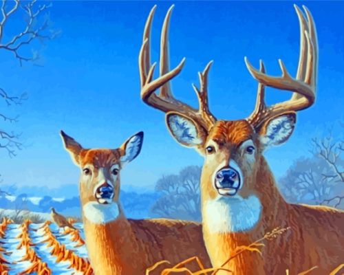 The Deer Couple Paint By Numbers