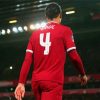 Virgil Van Dijk Back Paint By Numbers