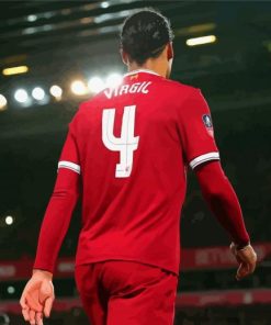 Virgil Van Dijk Back Paint By Numbers