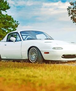 White Miata Mazda Paint By Numbers