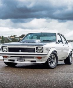 White Torana Slr 5000 Paint By Numbers