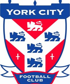 York City Football Paint By Numbers