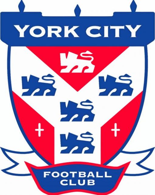 York City Football Paint By Numbers