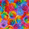 Abstract Rainbow Flowers Paint By Numbers