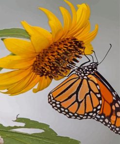 Aesthetic Sunflower Butterfly Paint By Numbers