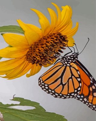 Aesthetic Sunflower Butterfly Paint By Numbers