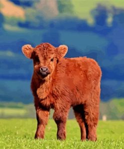 Baby Brown Cow In Farm Paint By Numbers