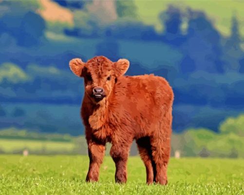 Baby Brown Cow In Farm Paint By Numbers