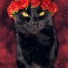 Black Cat With Red Flowers Paint By Numbers