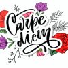 Carpe Diem With Flowers Art Paint By Numbers