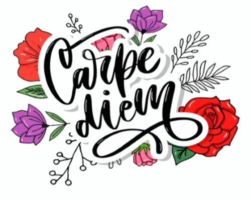 Carpe Diem With Flowers Art Paint By Numbers