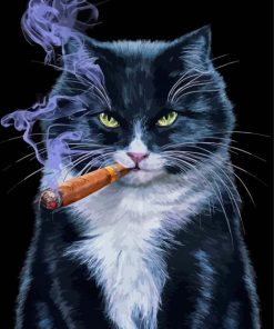 Cat Animal Smoking Paint By Numbers