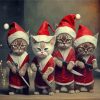 Christmas Mad Cats Paint By Numbers