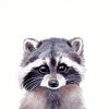 Cute Baby Raccoon Paint By Numbers