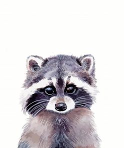 Cute Baby Raccoon Paint By Numbers