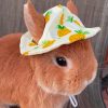 Cute Brown Rabbit With Hat Paint By Numbers