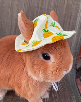 Cute Brown Rabbit With Hat Paint By Numbers