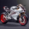 Grey Superbike Paint By Numbers