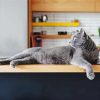 Grey Cat Animal In Kitchen Paint By Numbers