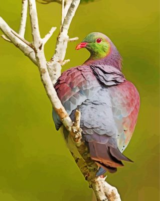 Kereru On A Branch Paint By Numbers