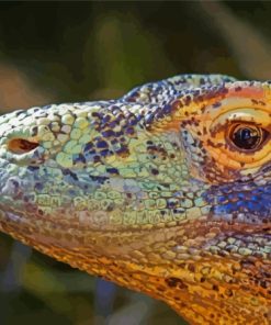 Komodo Dragon Lizard Animal Paint By Numbers