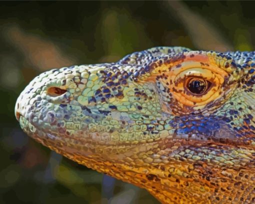 Komodo Dragon Lizard Animal Paint By Numbers