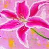 Pink Lily Art Paint By Numbers