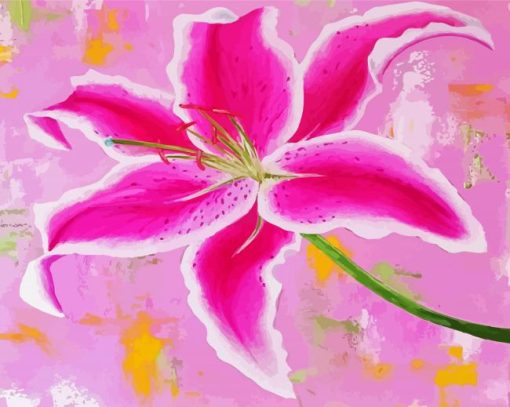 Pink Lily Art Paint By Numbers