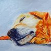 Sleeping Dog And Cat Arts Paint By Numbers