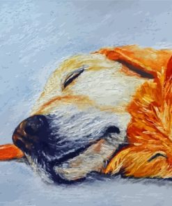 Sleeping Dog And Cat Arts Paint By Numbers