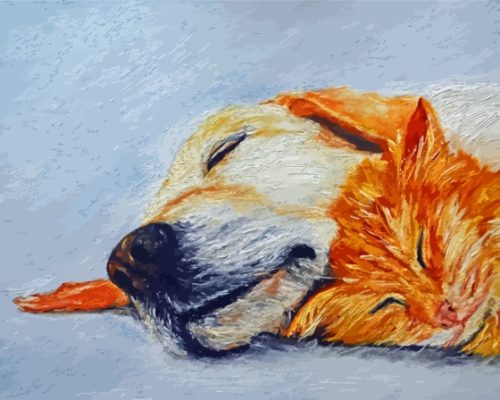 Sleeping Dog And Cat Arts Paint By Numbers