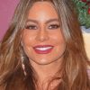 The Actress Sofia Vergara Paint By Numbers