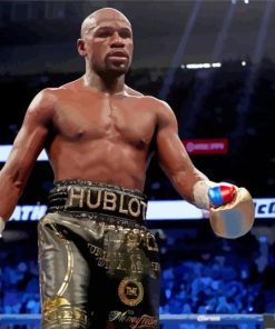 The Boxer Mayweather Paint By Numbers