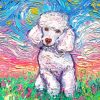 White Poodle Art Paint By Numbers