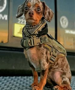 Aesthetic Military Dog Paint By Numbers