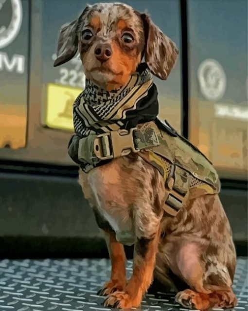 Aesthetic Military Dog Paint By Numbers