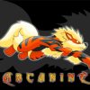 Arcanine Pokemon Anime Paint By Numbers