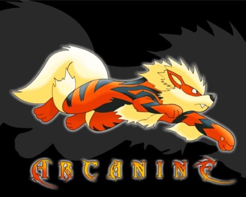 Arcanine Pokemon Anime Paint By Numbers