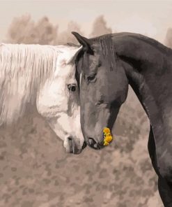 Black And White Two Horses In Love Paint By Numbers