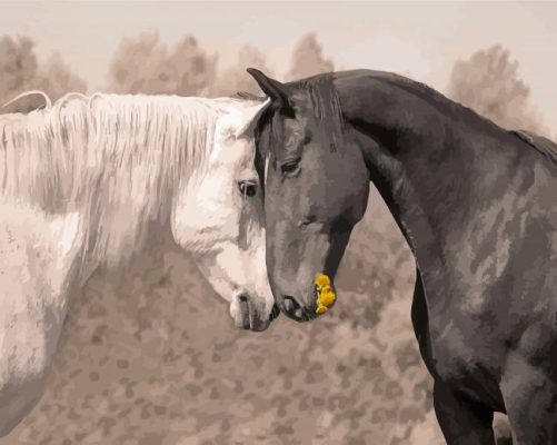 Black And White Two Horses In Love Paint By Numbers