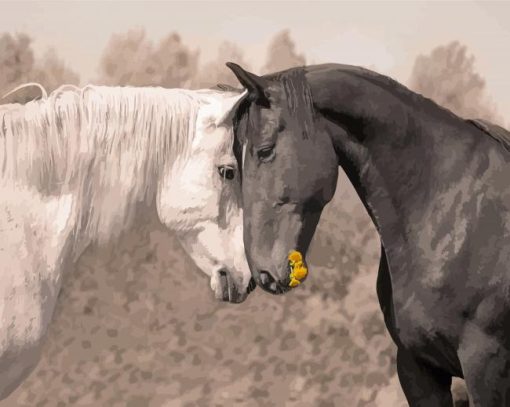 Black And White Two Horses In Love Paint By Numbers