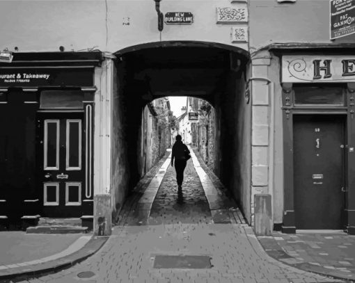 Black And White Kilkenny Streets Paint By Numbers