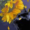 Black Cat With Sunflowers Paint By Numbers