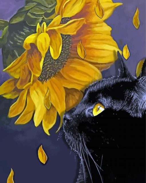 Black Cat With Sunflowers Paint By Numbers