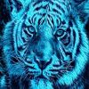 Blue Tiger Big Cat Paint By Numbers