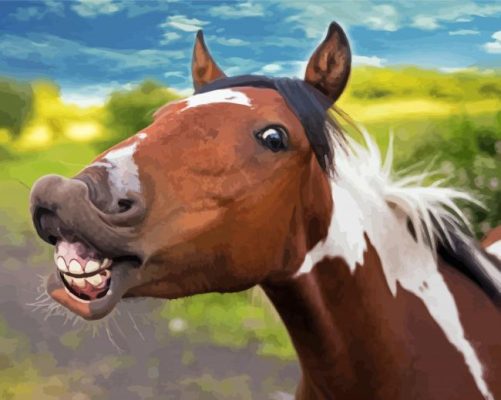 Brown Goofy Horse Paint By Numbers