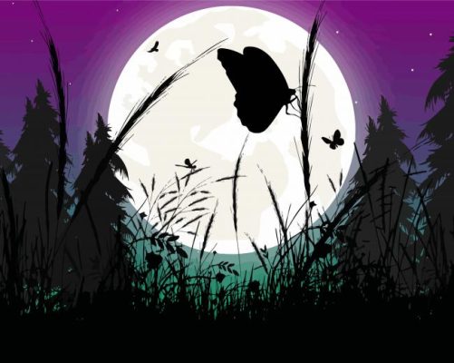 Butterfly Moon Silhouette Paint By Numbers