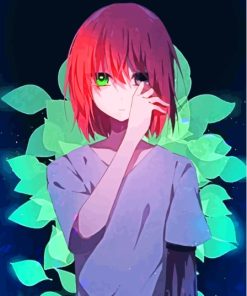 Chise Hatori Art Anime Character Paint By Numbers