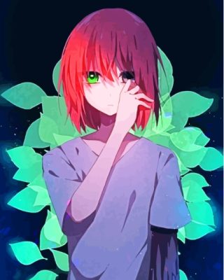 Chise Hatori Art Anime Character Paint By Numbers